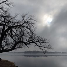 Lake Cowdrey