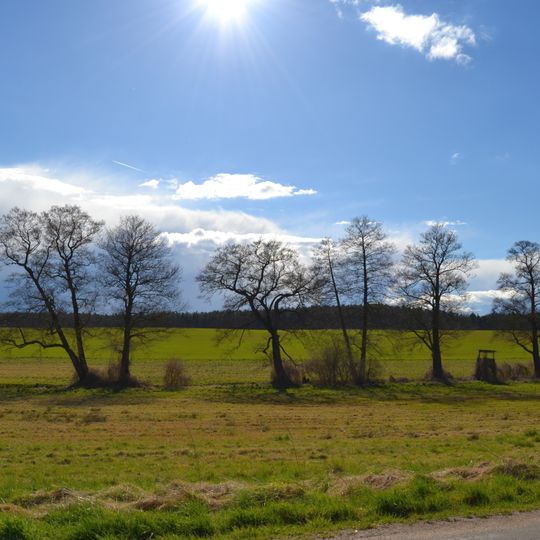 Seenkette des Platkower Mühlenfließes / Heidelandschaft Worin