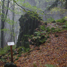 Das Gesicht, Felsgruppe bei Grebenhain