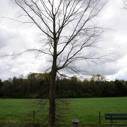 Monument in het Korenburgerveen