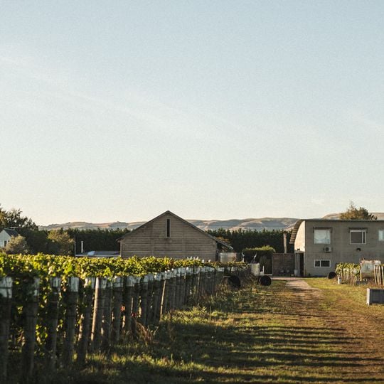 Martinborough Vineyard
