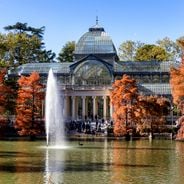 マドリードを発見：王家の伝統、美術館、そして街の暮らし