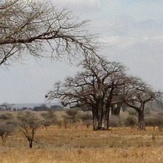 Tarangire National Park