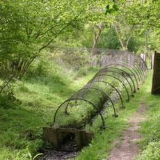Boarstall Duck Decoy