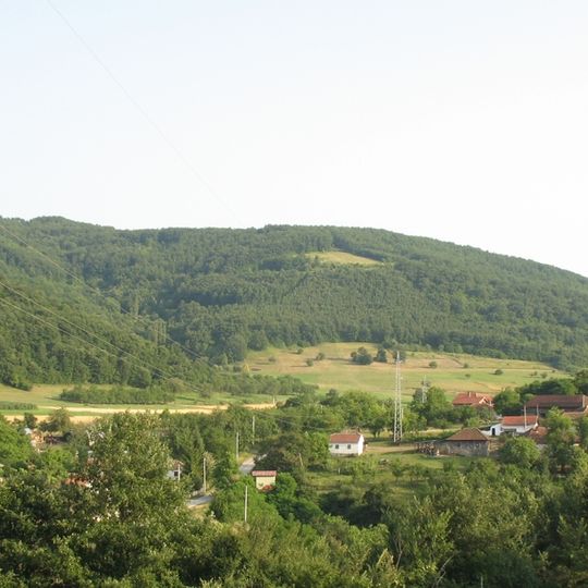 Pavlica