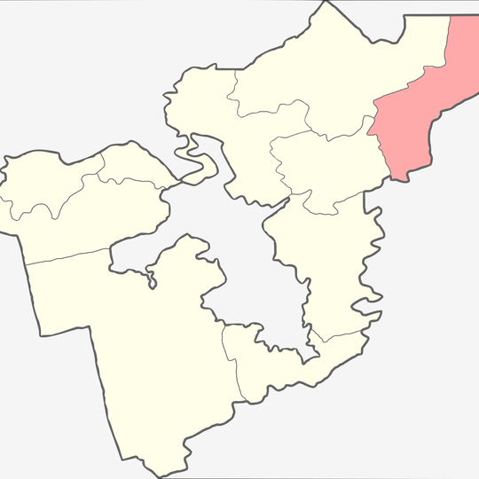 Бальшаталдзінскае сельскае пасяленне