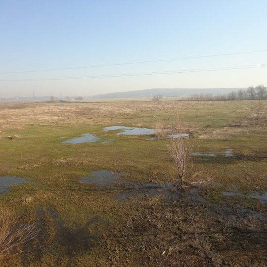 Romanivske swamp