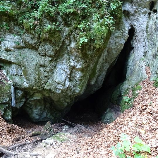 Râșnoavei cave