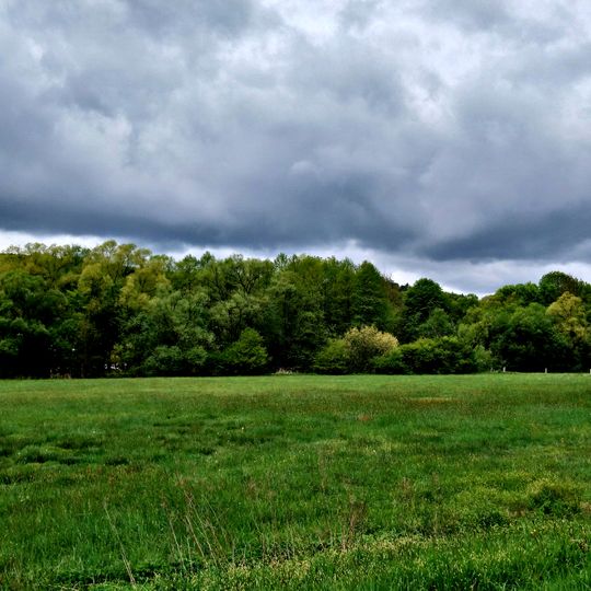 Lange Wiese bei Weilers