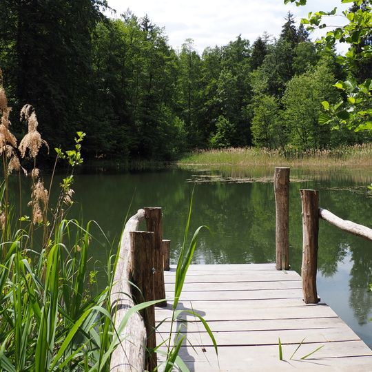Teich und Bachgrund des Eschelbachs