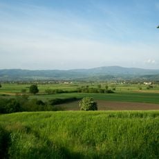 Ozren