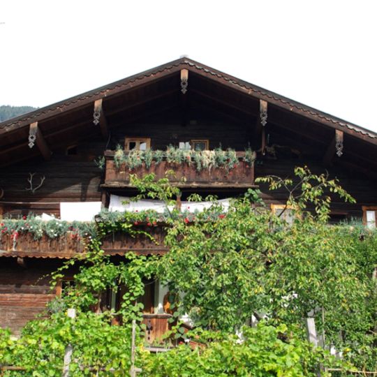 Bauernhaus, Schwaigergut