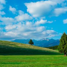 Foresta del Cansiglio