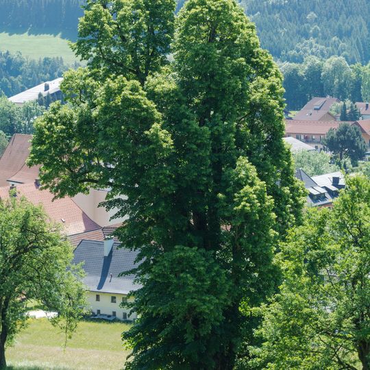 Gsanglinde in Viechtwang