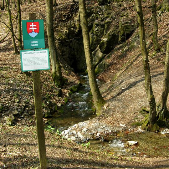 Limbašská vyvieračka