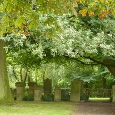 Jüdischer Friedhof (Enger)