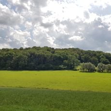Roebelsbos