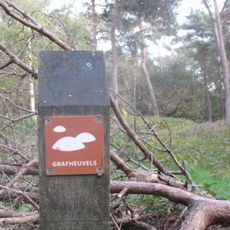 Grafheuvels op de Zuilensteinse Kop