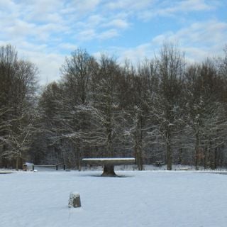 Forêt de Chantilly