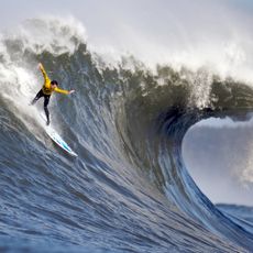 Mavericks