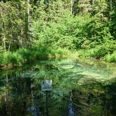 Saula Blue Springs