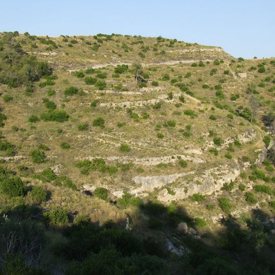 Vinya Vella de Mussarra