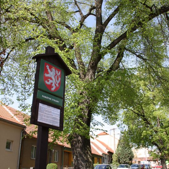 Skupina 34 líp v Bosonohách