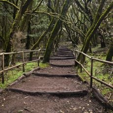 Parco nazionale di Garajonay