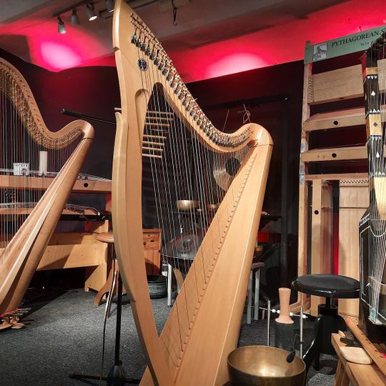 Luc Vanlaere Harpist