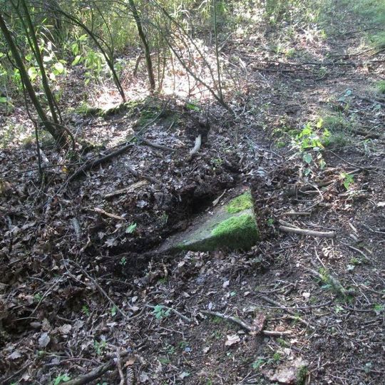 Kříž západně od Košetic u okraje lesa