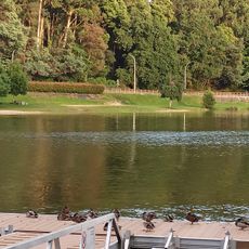 Praia fluvial do Lérez