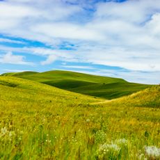 Kitulo National Park