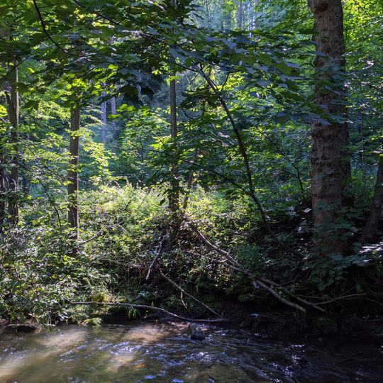 Pod hukvaldskou oborou