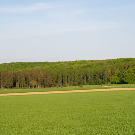 NSG Hinnenburger Forst mit Emder Bachtal <Insbesondere sind in ihrer natürlichen Vergesellschaftung zu schützen:
