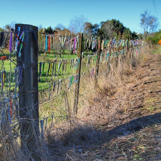 Toothbrush fence