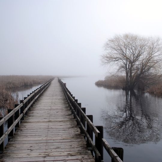 Parco nazionale di Point Pelee