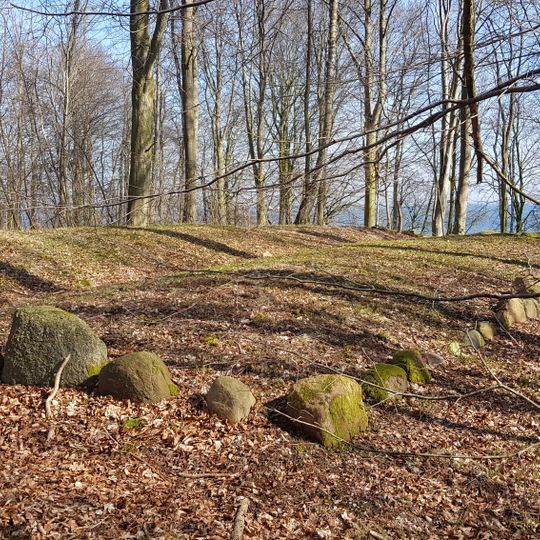 Dobbeltdysse von Oleskobbel