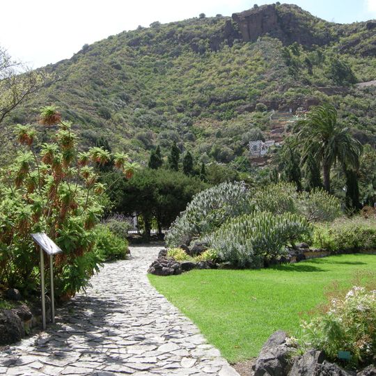 Jardín Botánico Viera y Clavijo