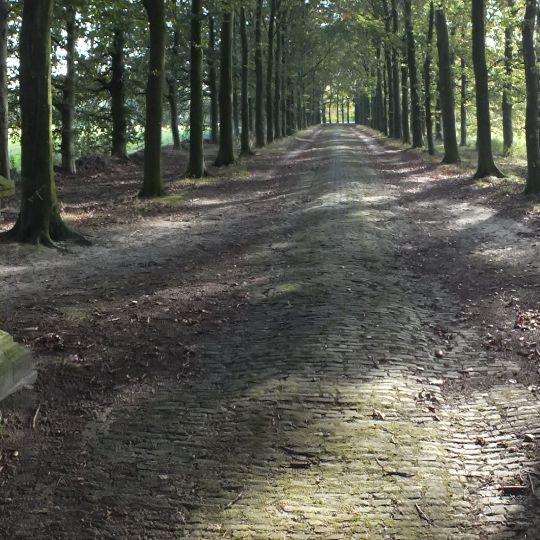 Heeswijk: twee hekpijlers bij de ingang van de beukenlaan