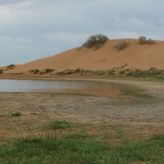 Ільменно-бугровий заказник