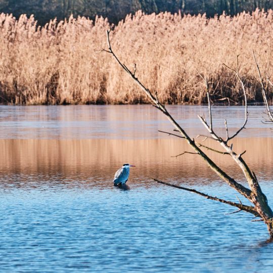 NSG Bergsenkungsgebiet Bettendorfer Fließ