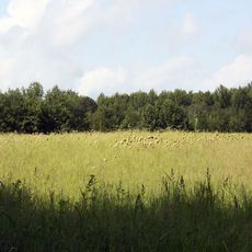 Millington Wildlife Management Area