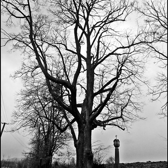 Chudějovická lípa