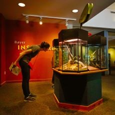 Museum of Life and Science