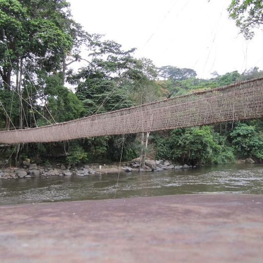 Pont de lianes de Poubara