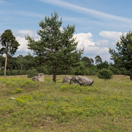 Glockenbuckel von Viernheim