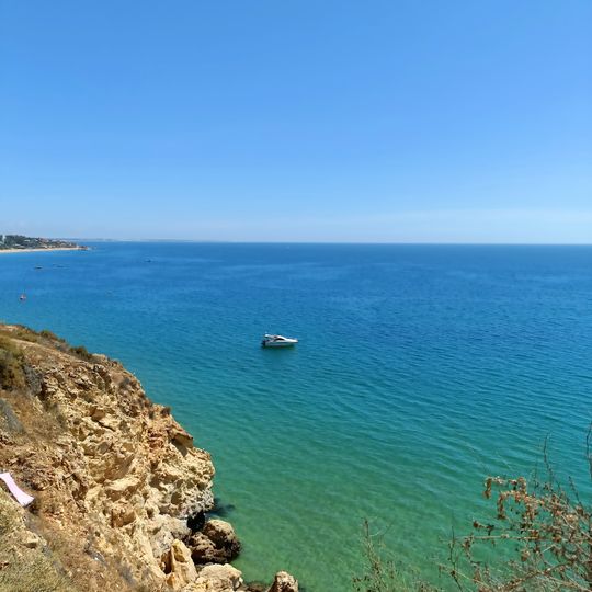 Viewpoint Fishing Port