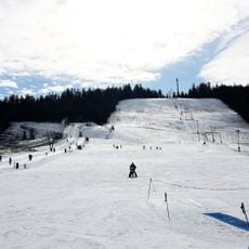 Mehliskopf