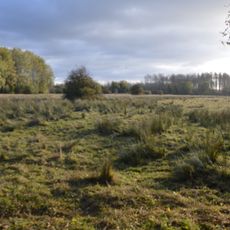 Snailwell Meadows