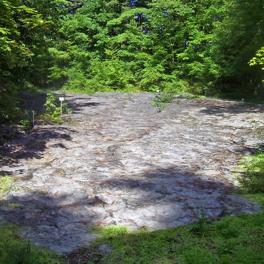 Petrified Sea Gardens